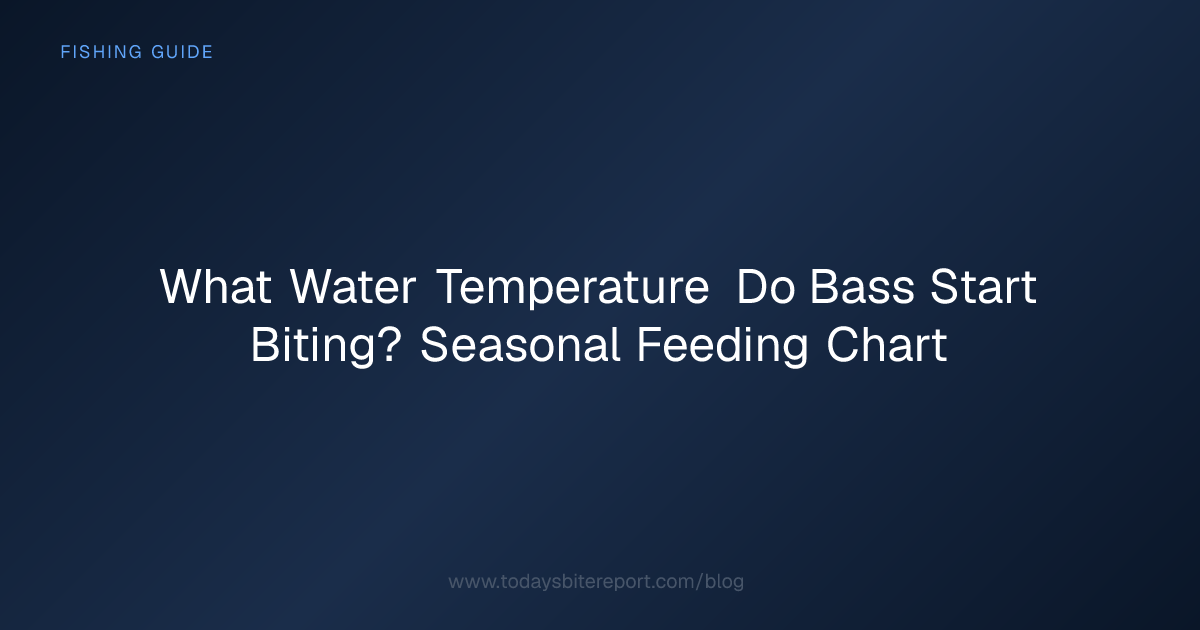 What Water Temperature Do Bass Start Biting? Seasonal Feeding Chart ...