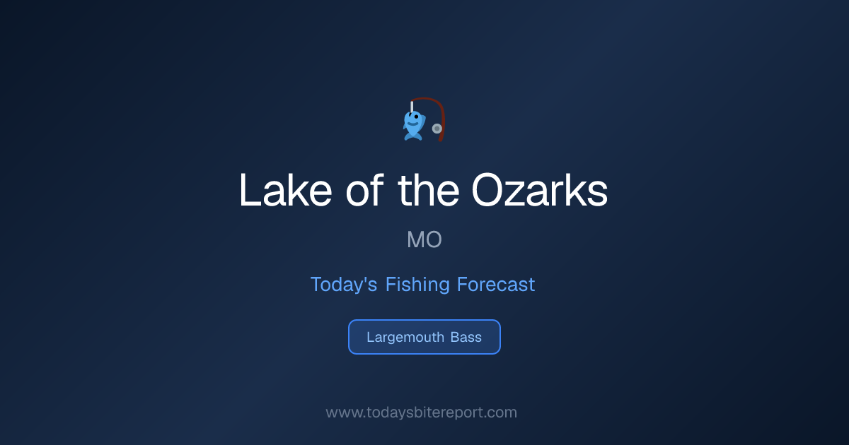 Lake of the Ozarks Bass Fishing Forecast Today | Today's Bite Report